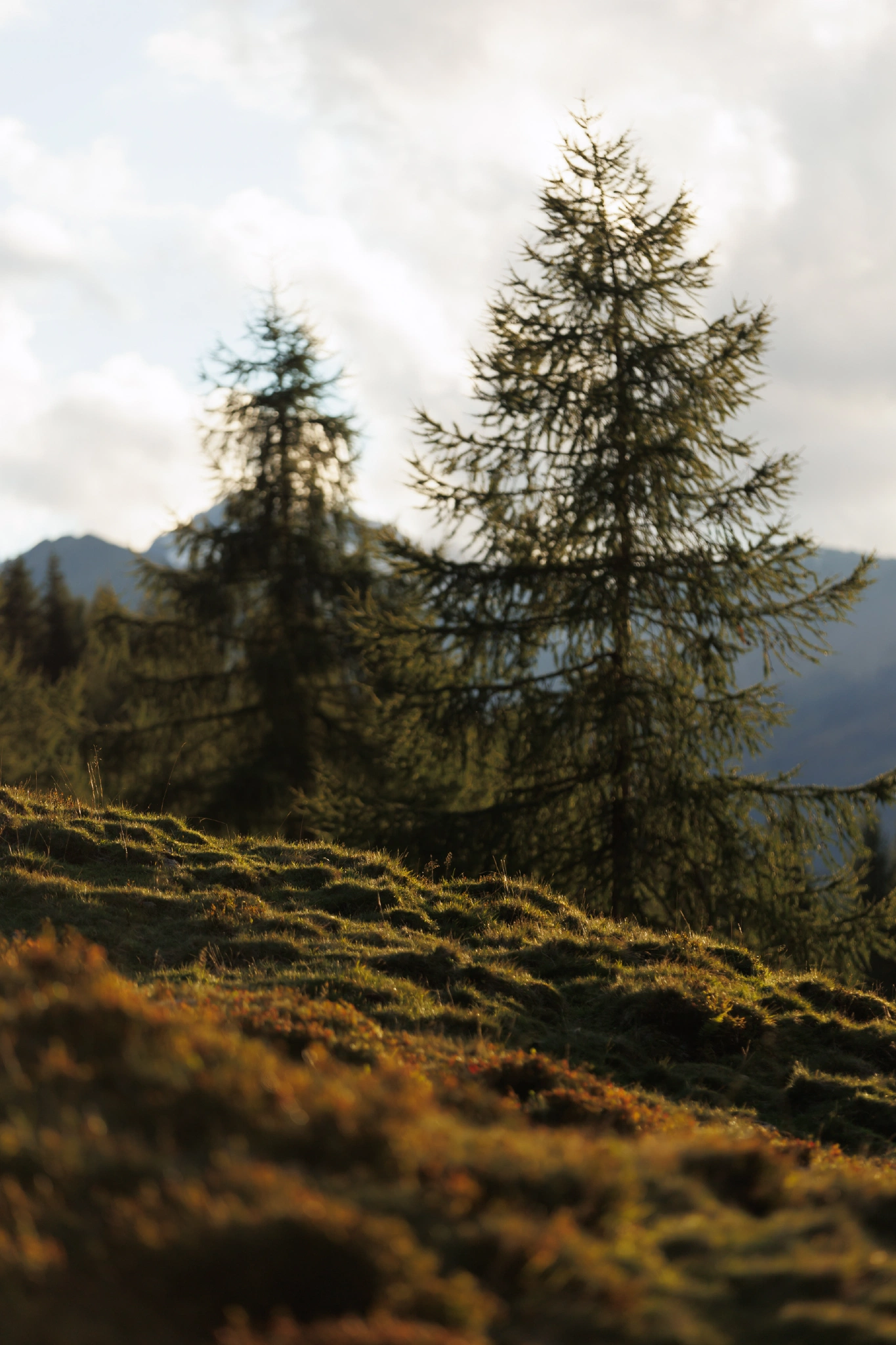 The Call Of The Mountains
